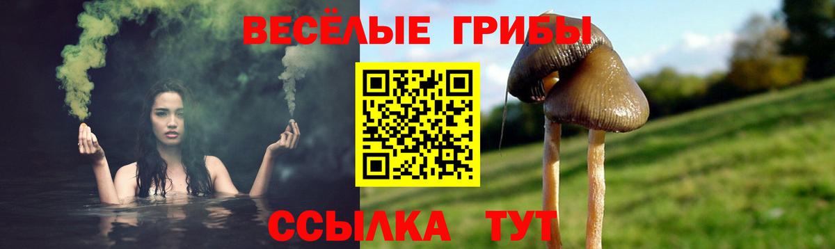 Псилоцибиновые грибы Magic Shrooms  Псилоцибиновые грибы мухоморы  Новоуральск  Вход с VPN 